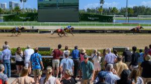 Noel’s Weekend Winners: Lure of Sunshine Beckons for Gulfstream Park Stakes