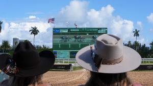 Weekend winners, betting, gambling, exacta, double, trifecta, Gulfstream Park, Mac Diarmida, Fountain of Youth, Chief Wallabee, Napoleon Solo, Bravaro, Solitude Dude, Anegada, Layabout, Without, Motion, Maker, Mott, Ortiz, jockey, horse racing, ABR