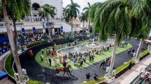 TV, television, radio, streaming, NBC, NBCSN, Peacock, Fountain of Youth, Rebel, Gotham, FOX, FS2, Aqueduct, Gulfstream, Oaklawn, Turfway, Santa Anita, Fair Grounds, FanDuel TV, RTN, HRRN, Byk, horse racing, ABR