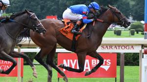Gaudreau, U. S. S. Valor, Champagne Stakes, Rookie Rankings, Kentucky Derby, Triple Crown, horse racing, America's Best Racing, ABR