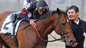Ghostzapper: The Horse That Blazed a Brilliant Path in a Brief, But Potent Racing Career