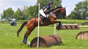 Thoroughbred Aftercare Diary: First-Show Success for Maverick
