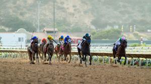 Eyeing an Upset in the 2026 Clement L. Hirsch Stakes 