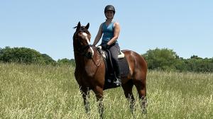 Thoroughbred Makeover training OTTB retired racehorse aftercare dressage competition Decorated Invader Calvary Charge Finn Calvin arena halter judges 