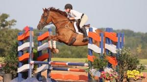 Salesman, OTTB, ex-racehorse, retired racehorse, Thoroughbred Makeover, Kristina, trainer, Audra Mandella, Richard Mandella, training, aftercare, competition, owner, Reciprocity Thoroughbreds, ABR