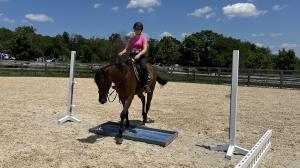 Thoroughbred Makeover Diary: An Exciting and Nerve-Racking Time