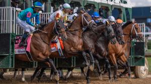 Noel Michaels handicapping, Americas Best Racing Sunday Selections, Churchill Downs