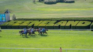 Keeneland, Breeders' Cup, Fall Stars, horse racing, America's Best Racing, ABR
