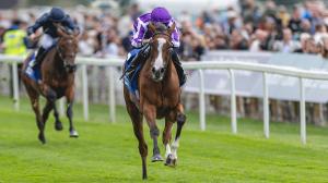 Everything You Need to Know About the 2025 Breeders' Cup International Horses 