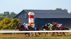 TV, television, radio, streaming, Keeneland, Breeders’ Cup, Churchill Downs, Santa Anita Park, Laurel Park, Maryland Million, Gulfstream Park, Woodbine, FanDuel TV, FOX, NYRA, RTN, HRRN, Byk, Day at the Races, Belmont Park, horse racing, ABR