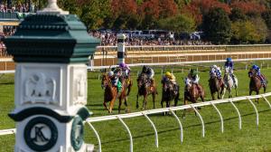 Radio, TV, television, streaming, Breeders’ Cup, Keeneland, Santa Anita Park, Churchill Downs, Woodbine, Gulfstream Park, FanDuel TV, FS2, harness, FOX Sports, RTN, HRRN, Byk, entries, horse racing, ABR