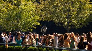 Betting a 15-1 Longshot to Win the Raven Run Stakes 