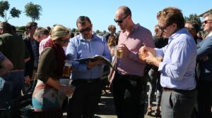 Noel’s Weekend Winners: Focus on Saturday 3-Year-Old Stakes at Keeneland