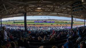 Breeders’ Cup Classic, trifecta, gambling, picks, betting, Forever Young, Sovereignty, The Puma, Golden Tempo, T O Password, Magnitude, Knightsbridge, Flavien Prat, horse racing, Tordjman, Curry, Reed, Michaels, ABR