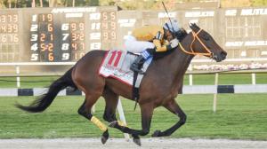 When a $100 Longshot Reigned in the Tampa Bay Derby