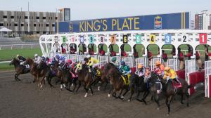 King's Plate, Canadian Triple Crown, Woodbine, horse racing, America's Best Racing, ABR