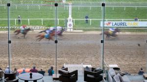 Preakness Stakes, trifecta, picks, horse racing, gambling, ABR, Incredibolt, Chip Honcho, The Hell We Did, Iron Honor, Taj Mahal, Ocelli, Laurel Park, speed, closer, Robusta, pace, horseplayer, wheel, key, box