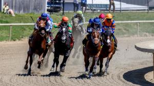 2026 Frank J. De Francis Memorial Dash Stakes Cheat Sheet