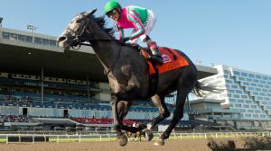 Luster, King's Plate, Canadian Triple Crown, Woodbine, horse racing, America's Best Racing, ABR