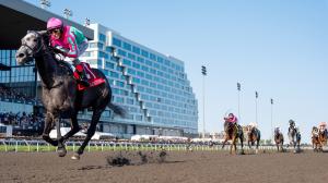Luster, King's Plate, Canadian Triple Crown, Woodbine, horse racing, America's Best Racing, ABR