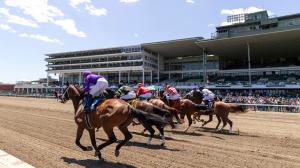 Born to Run (Fast): Tips and Trends for Betting Monmouth Park in 2026