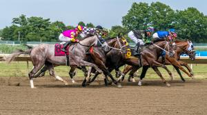 Noel’s Weekend Winners: Top Picks for Haskell Preview Day at Monmouth