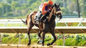 Magnificat, Zenyatta Stakes, Santa Anita Park, horse racing, America's Best Racing, ABR