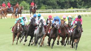 2026 Arlington Million Stakes at a Glance