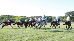 Kentucky Downs, Nashville Derby, horse racing, America's Best Racing, ABR