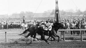 Hall of Famer Nashua: A Classic Racehorse
