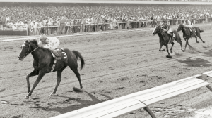 Native Diver: California’s Homegrown Horse Racing Superstar