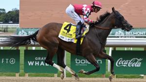 Beldame Stakes, Belmont Park, Nitrogen, champion, filly, Mark Casse, D. J. Stable, owner, trainer, jockey, Jose Ortiz, Donor Advised, Breeders’ Cup, Distaff, Whitney, Ogden Phipps, horse racing, ABR