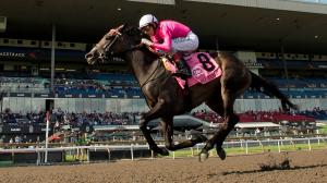 No Time, King's Plate, Woodbine, America's Best Racing, horse racing, ABR