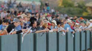 D’code the Top Pick in Loaded 2026 Southwest Stakes