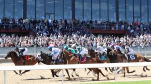 Smarty Jones Stakes, Oaklawn Park, betting, win, horseplayer, Universe, Baytown Dreamer, Boca Beach Club, Silent Tactic, Rancho Santa Fe, Oscar’s Hope, Strategic Risk, Scar Ship, Sleepingonfreedom, trainer, McPeek, Kentucky Derby, jockey, Rosario, ABR