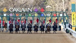 TV, television, radio, Oaklawn Park, Los Alamitos, Gulfstream Park, Woodbine, Turfway Park, Aqueduct, NYRA, FanDuel TV, Day at the Races, FOX Sports, RTN, HRRN, Byk, racetrack, horse racing, ABR