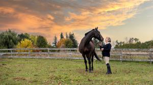 Jillian Wainwright, Sunny, Money Talks, horse racing, America's Best Racing, ABR