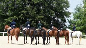 Training a retired racehorse can bring its own challenges, but it is always rewarding.