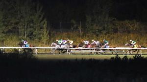 2026 Presque Isle Downs Masters Stakes Cheat Sheet