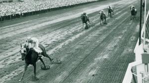 Bold Ruler: A Star On and Off the Track