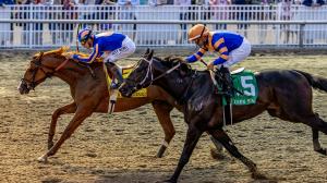 Paladin Overtakes Chip Honcho to Win Risen Star, Tops Derby Leaderboard