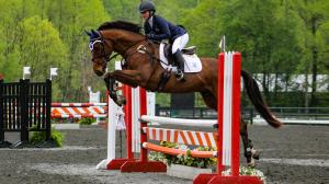 Point Nemo, Ryan Keefe, Real Rider Cup, Mark Casse, D.J. Stables, Aftercare, America's Best Racing, ABR, horse racing, Triple Crown
