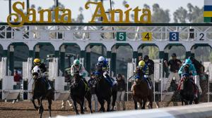 Derby Dozen, BloodHorse, Byron King, Kentucky Derby, contenders, Sovereignty, Barns, East Avenue, Citizen Bull, Chancer McPatrick, Disco Time, Journalism, Sandman, Speed King, Coal Battle, Rodriguez, Burnham Square