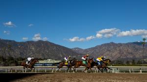 2026 Robert B. Lewis Stakes at a Glance