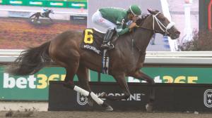 Reagan's Flame, Presque Isle Downs Masters Stakes, Presque Isle Downs, horse racing, America's Best Racing, ABR