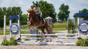 Thoroughbred Makeover Diary: Foundational Work Pays Off With First-Show Success