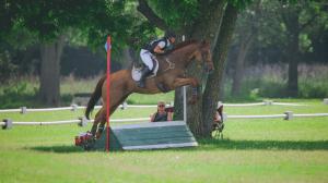 Thoroughbred Makeover Diary: Salesman Is a True ‘Heart Horse’