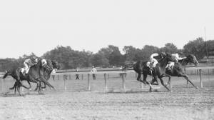 Saratoga Stories: A Champion in 15 Days