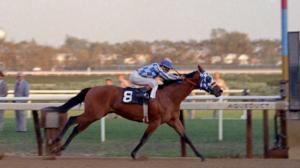 Meadow Stable's True Hero: How Riva Ridge Changed Everything