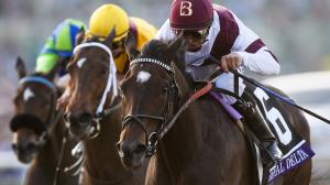 Royal Delta: A Three-Time Champion Worthy of Her Astronomical Sale Price